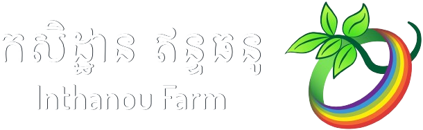Inthanou Farm