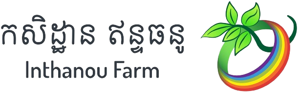 Inthanou Farm